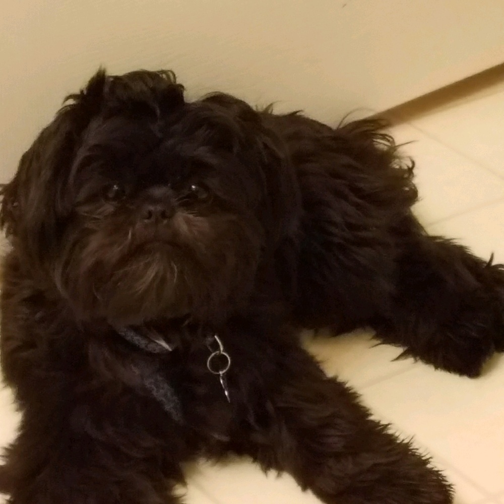 Meet your Posher, Raquel